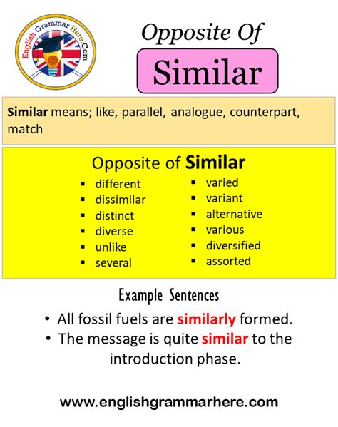 MICROMANAGE Synonyms: 46 Similar and Opposite Words